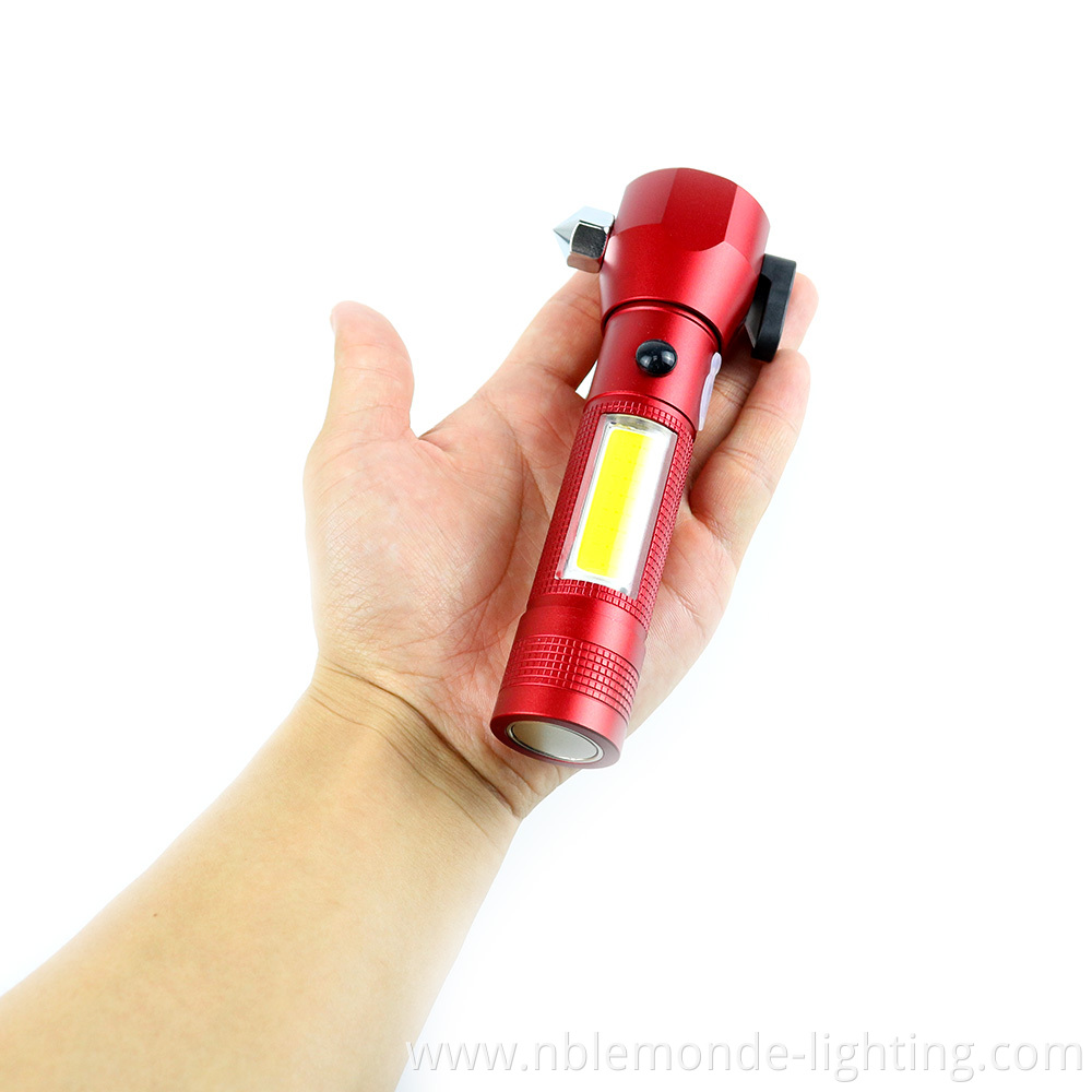  torch and flashlight